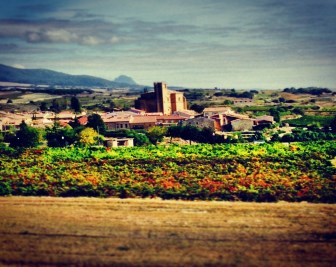 legal advice before living together