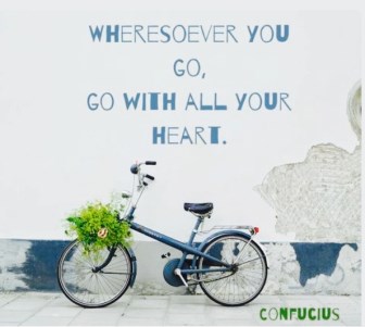 family law solicitors