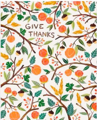 expert family law advice