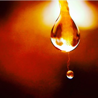 best family solicitor