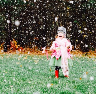 expert family law advice