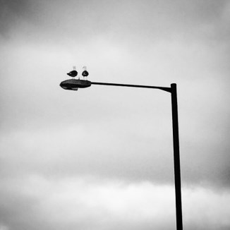 expert family law advice