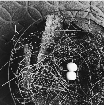 family law solicitor