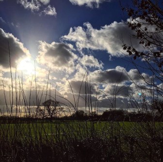 london family solicitor