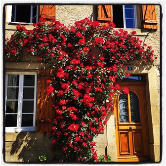 divorce solicitor alderley edge