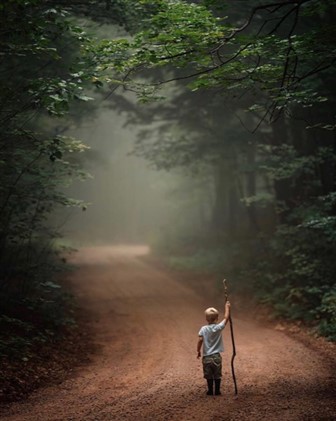 family law specialist