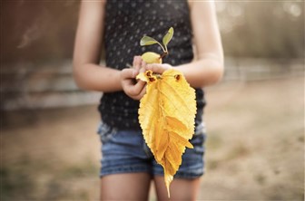 specialist family law firm