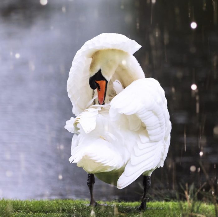 photography competition