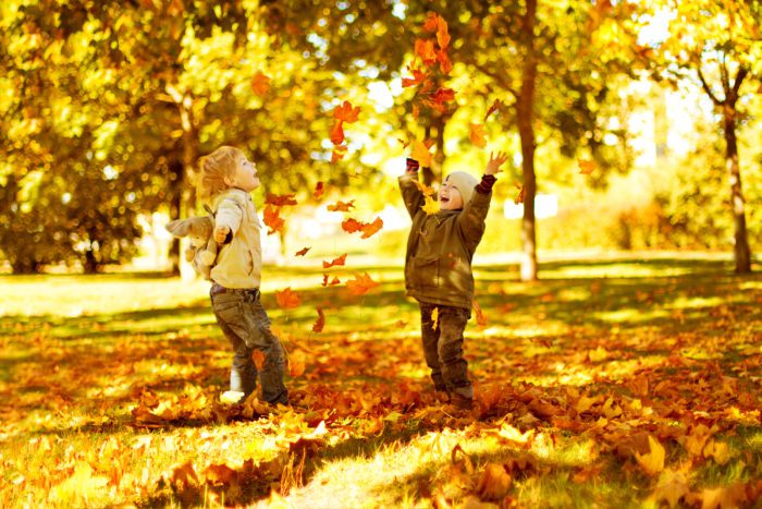 children playing with autumn leaves